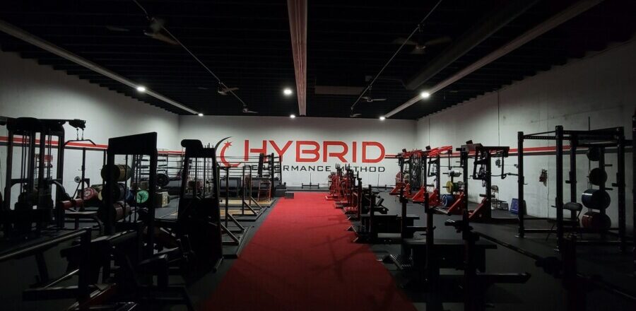 Hebe dich hervor: Wie Hanteln dein Training und Leben transformieren können